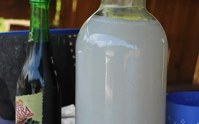 Tequila, mezcal and pulque