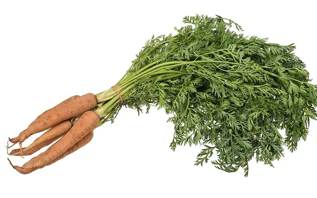 Carrots