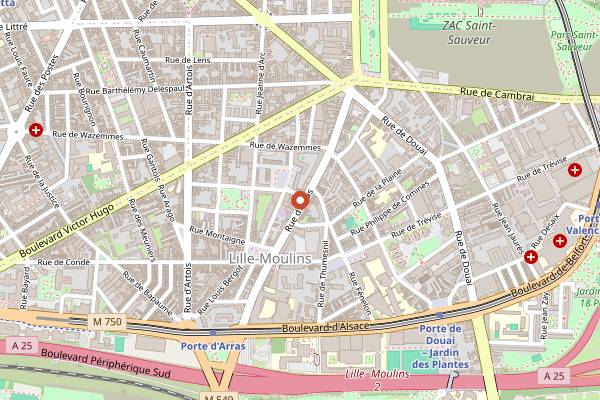Map showing Le Singe Savant in Lille