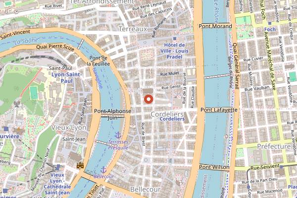Map showing Puzzle Cafe in Lyon