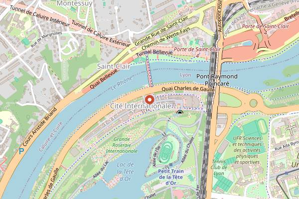 Map showing Salon du Chocolat Lyon in Lyon