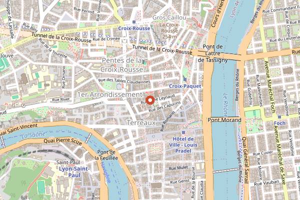 Map showing Nafas Falafel Counter in Lyon