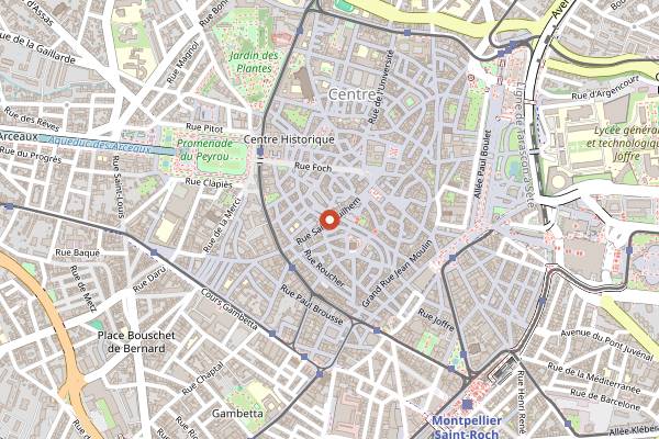 Map showing Café Solo in Montpellier