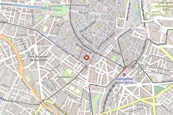 Map showing Joy Healthyfood in Montpellier