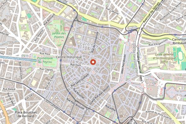 Map showing La Fête du Vin Bio in Montpellier
