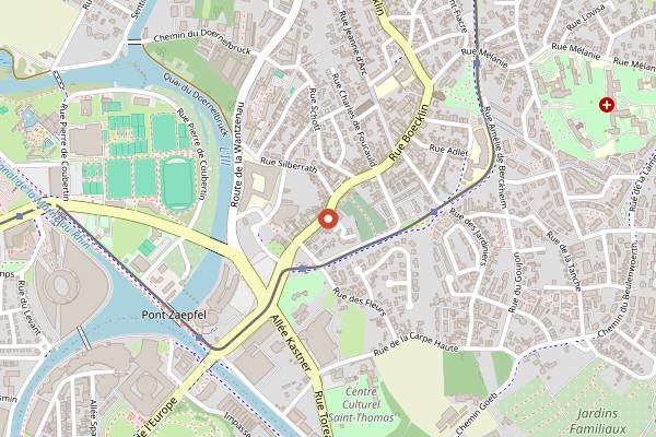 Map showing The Vegan Foodie Project in Strasbourg