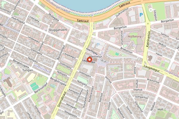 Map showing 2 Guys in Reykjavik