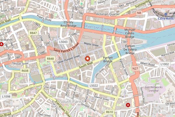 Map showing Arthur Mayne's Pharmacy in Cork
