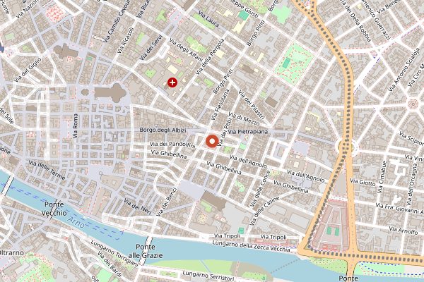 Map showing Vegan Frog in Florence