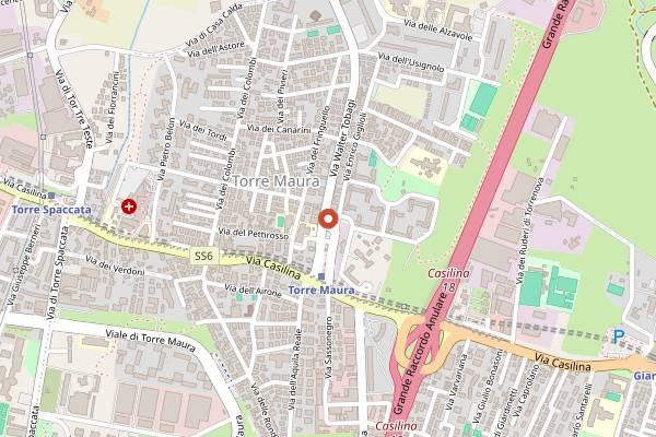 Map showing Gran Caffe Massimo in Rome