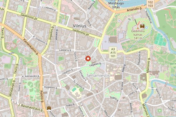 Map showing Nisha Craft Capital in Vilnius
