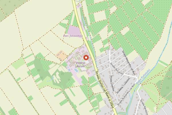 Map showing Asconi Winery Cooking Workshop in Chișinău