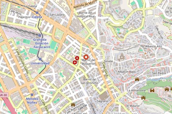 Map showing Tinto y Tinta in Granada