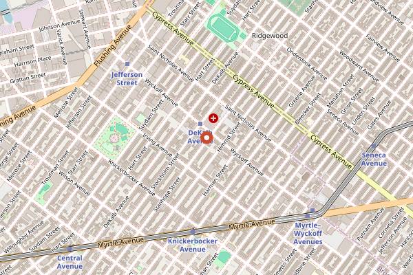 Map showing Taqueria Al Pastor in Brooklyn