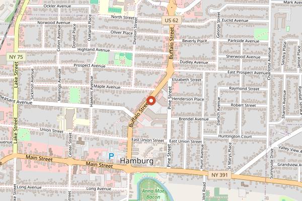 Map showing Root and Bloom Cafe in Buffalo