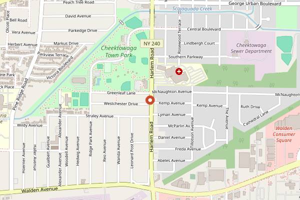 Map showing Polish-American Arts Festival in Buffalo