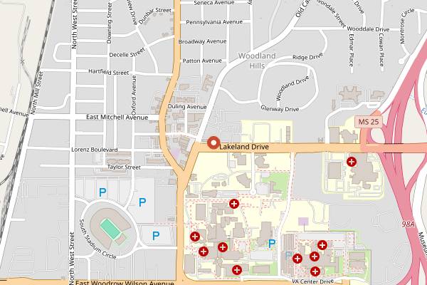 Map showing Aladdin Mediterranean Grill in Jackson