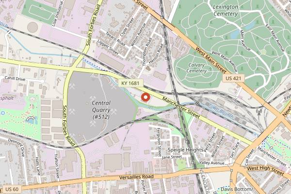 Map showing Wiseguy Lounge in Lexington