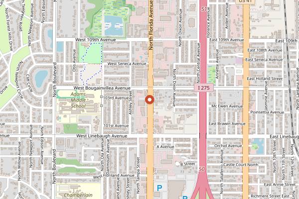 Map showing Hole In One Apple Fritter in Tampa