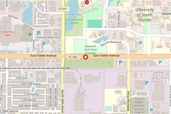 Map showing Istanbul Mediterranean Grill and Market in Tampa