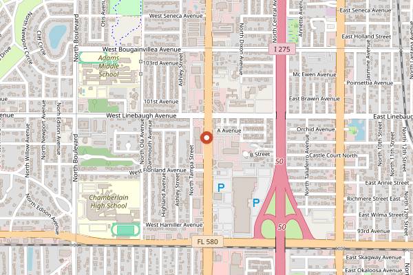 Map showing Joe's New York Diner in Tampa