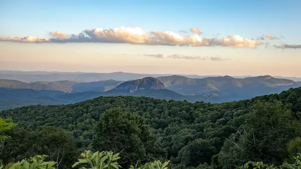 Asheville
