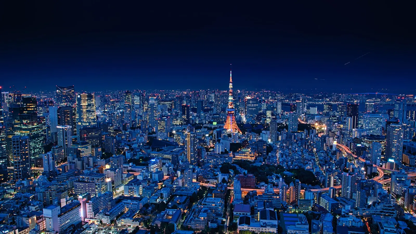 Tokyo food scene