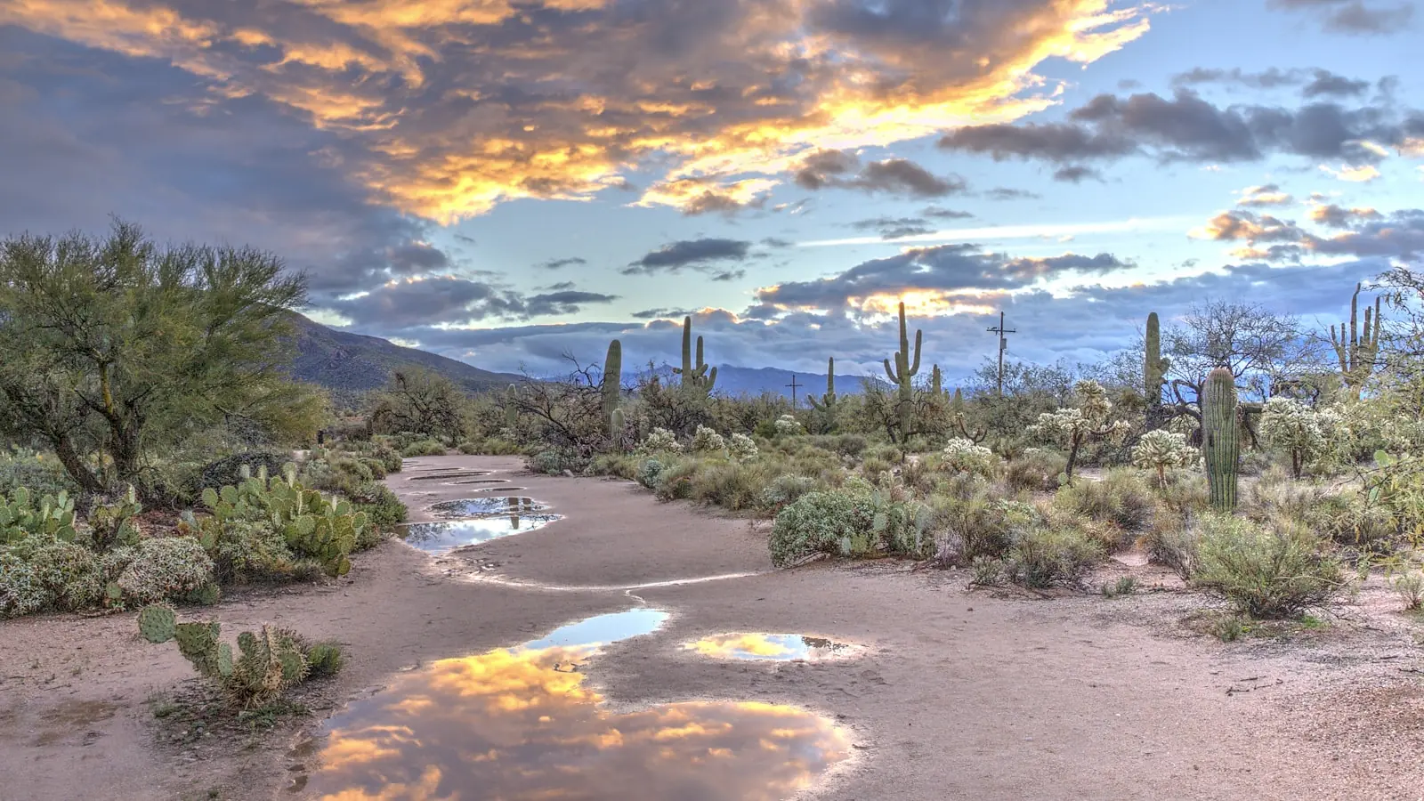 Tucson, United States